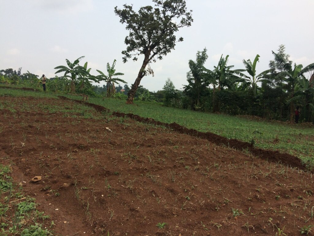 Rescue & Protect Animals in Rural Uganda