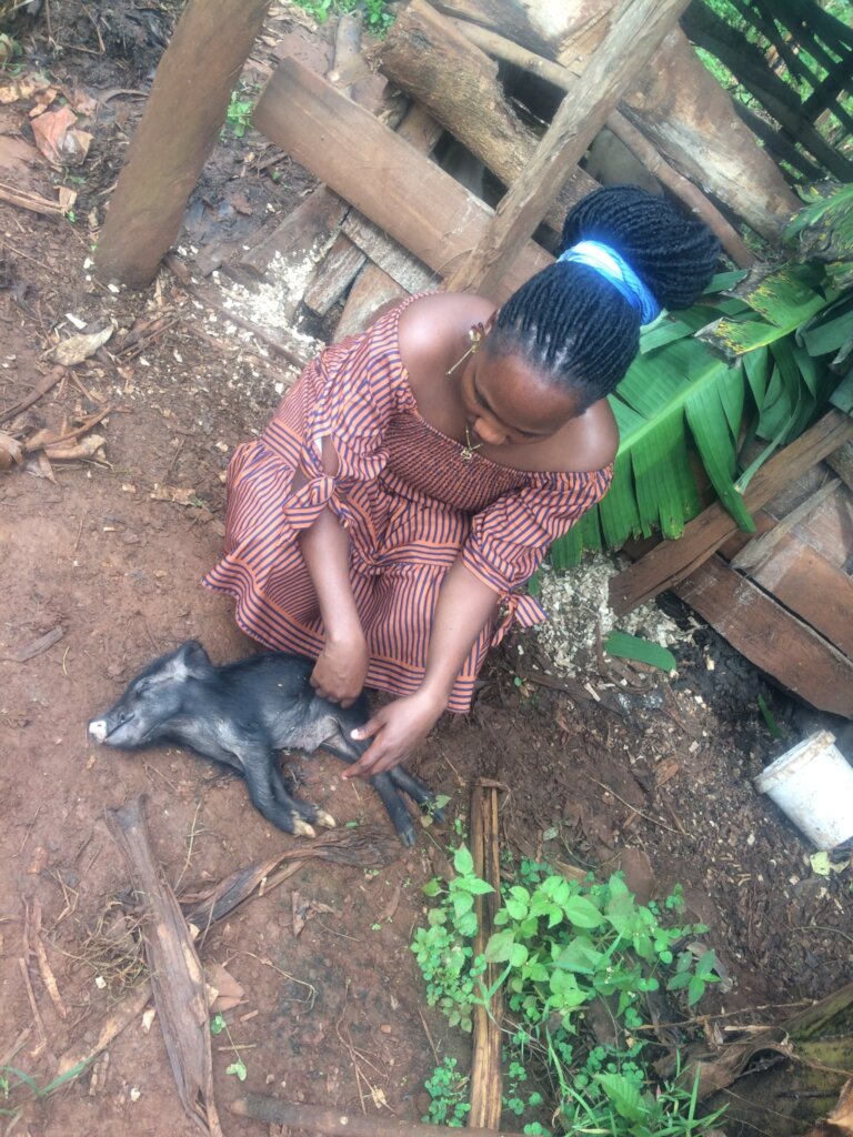 Rescue & Protect Animals in Rural Uganda