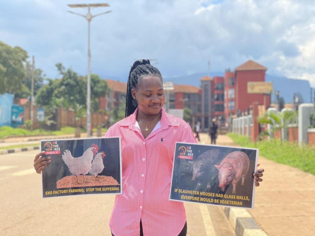 Rescue & Protect Animals in Rural Uganda