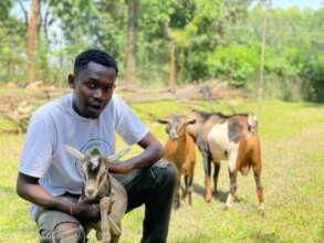 Hillary and our saved goats in our sanctuary