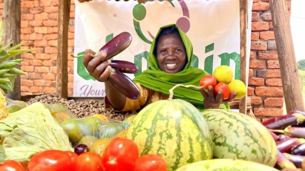 Donations Safe Haven Animal Rescue Donate To Rescue Protect