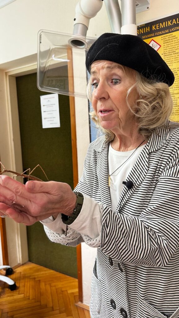 Insects=Biodiversity=Learning: Podcetrtek Slovenia