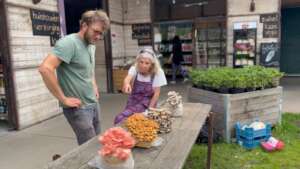 Lesson on Fungi - Fruittuin van West - Netherlands