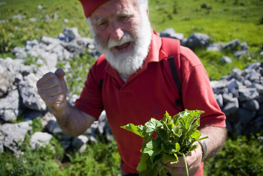 The Strength of Nature - An Elder's Wisdom Abruzzo