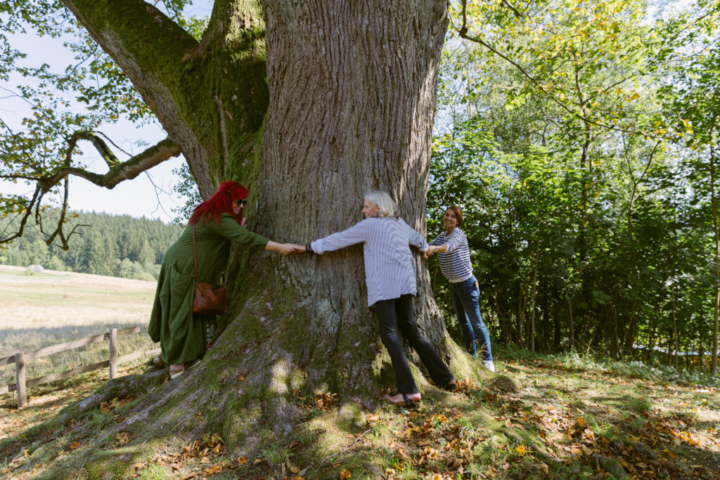 Tradition Meets Tomorrow: Fund Voices for Nature