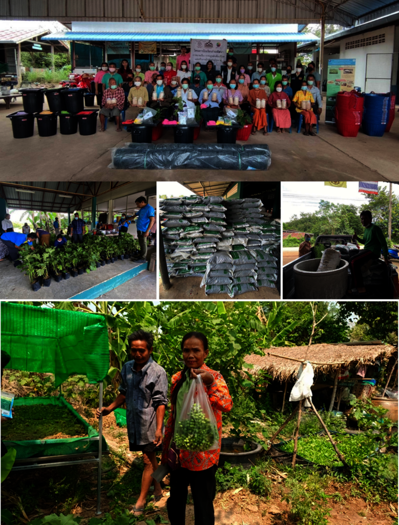 Food Security for Rural Elderly in Thailand