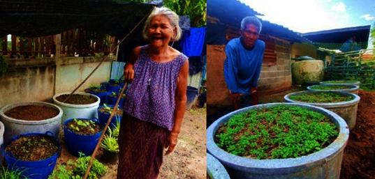 Food Security for Rural Elderly in Thailand