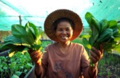 Food Security for Rural Elderly in Thailand