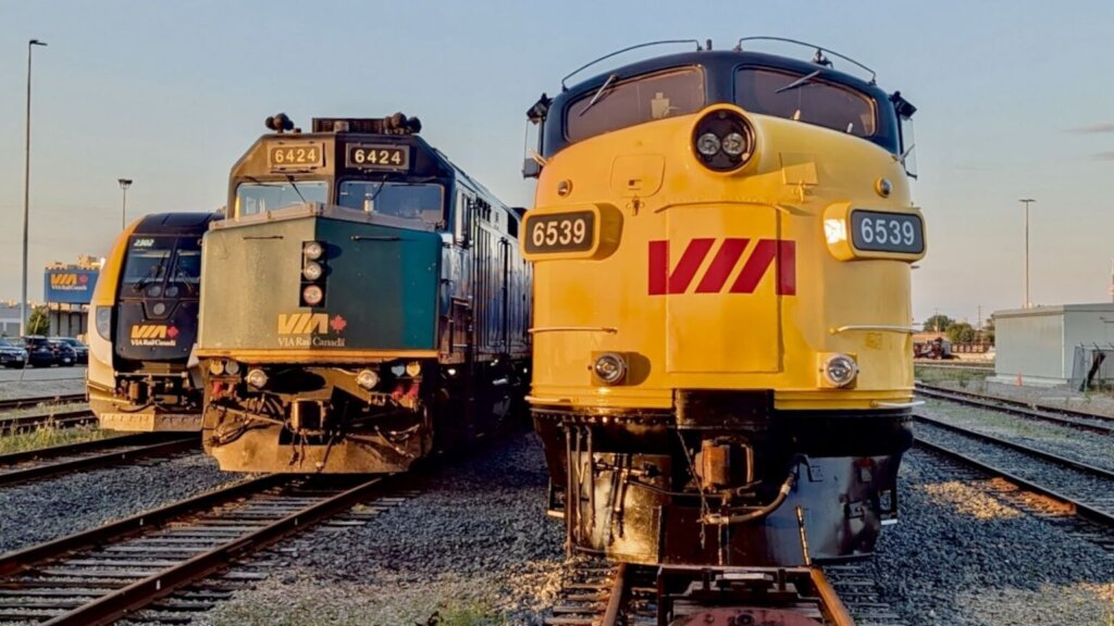 Photo by Brian Craus