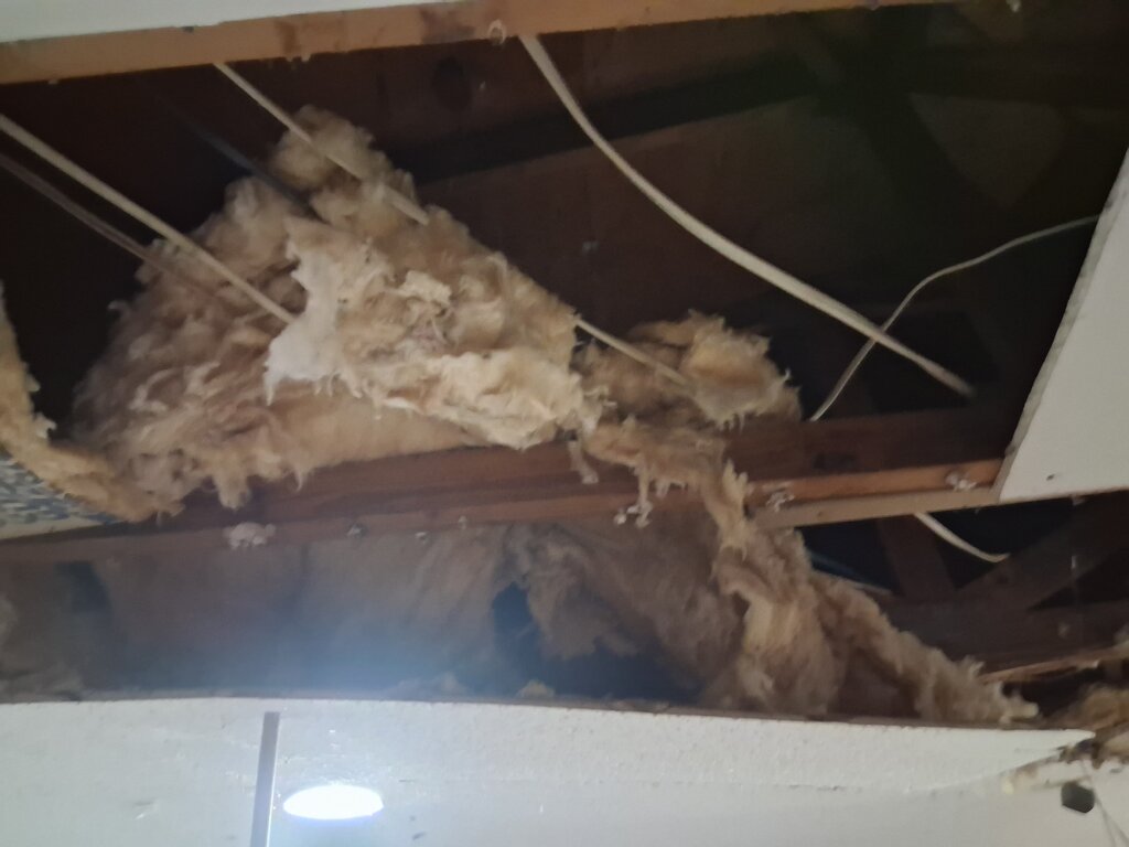 Milton Damage Home 4