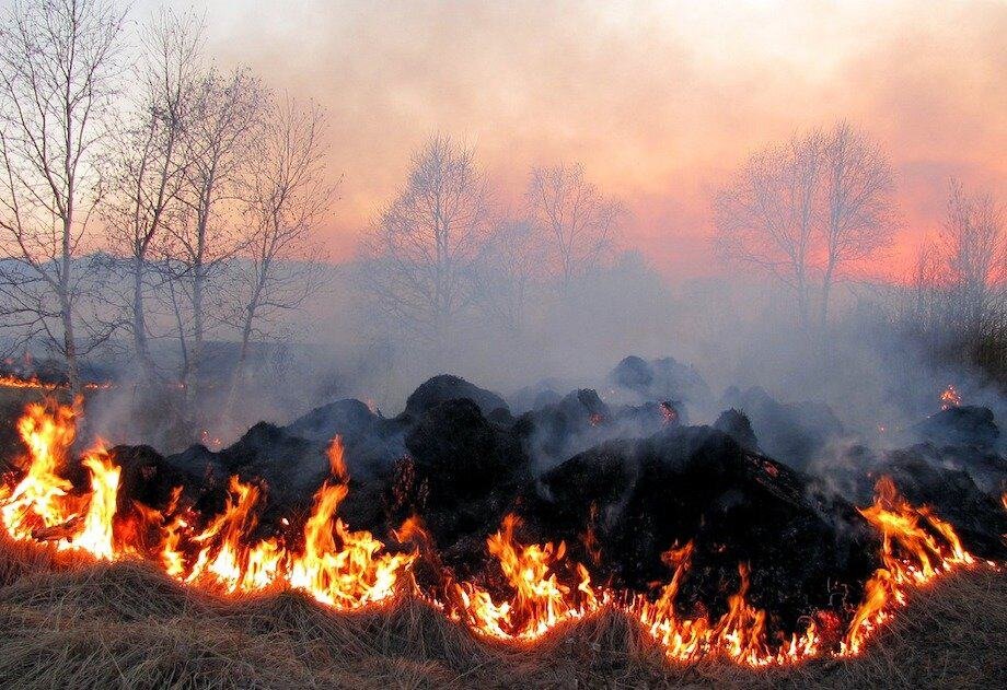 Climate Action Thai Farmers Scaling Carbon Removal