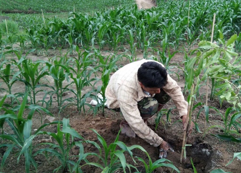 Climate Action Thai Farmers Scaling Carbon Removal