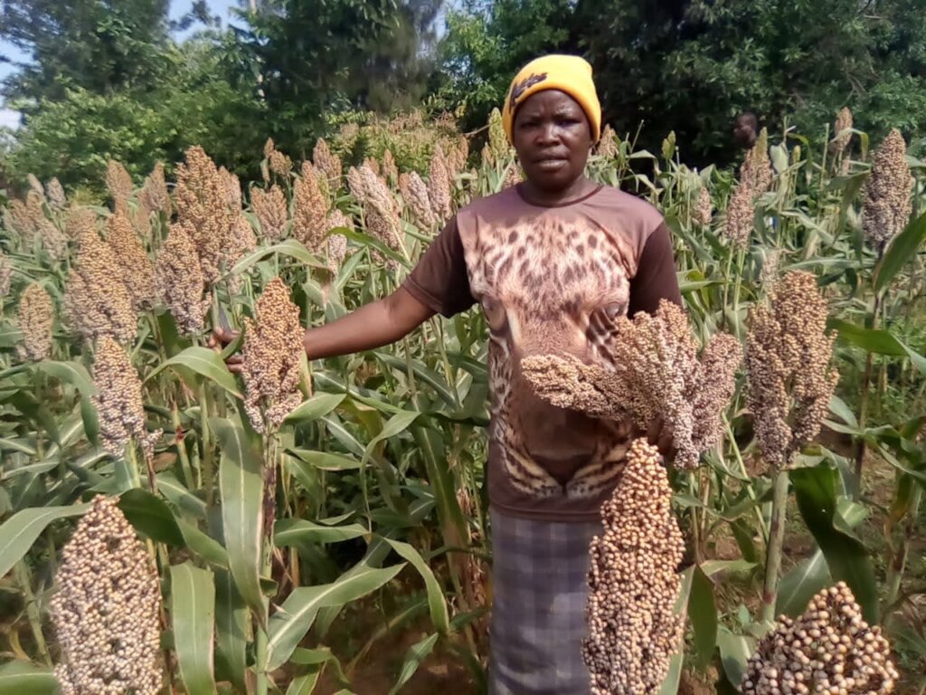 Climate Action Thai Farmers Scaling Carbon Removal