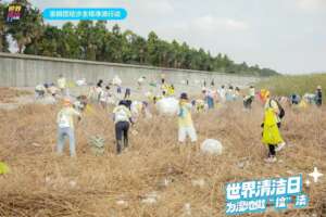 Wetland Cleanup Action