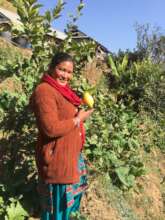 Harvest of Joy