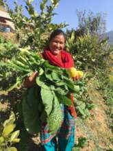 Empowering women to fight Gender-Based-Violence