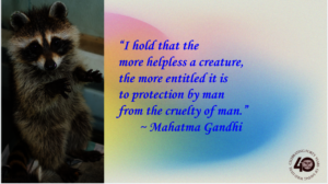 Compassion