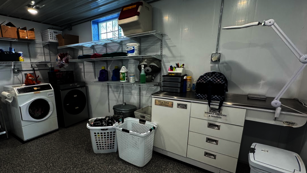 Intake and exam room for new raccoons