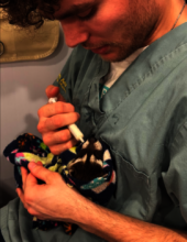 Intern Jackson feeding an orphaned raccoon