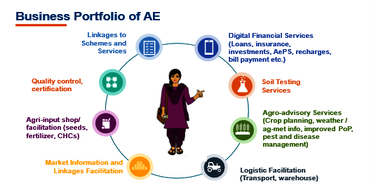 Business Portfolio of AE