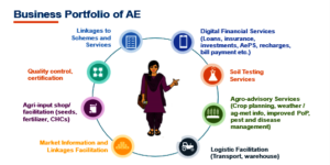 Business Portfolio of AE