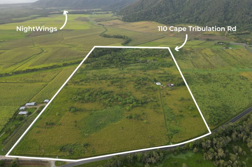 Kick start the Restoration Era in the Daintree