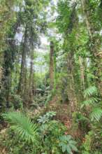 110 Cape Tribulation Road_interior