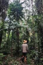 110 Cape Tribulation Road_interior