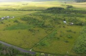 Kick start the Restoration Era in the Daintree