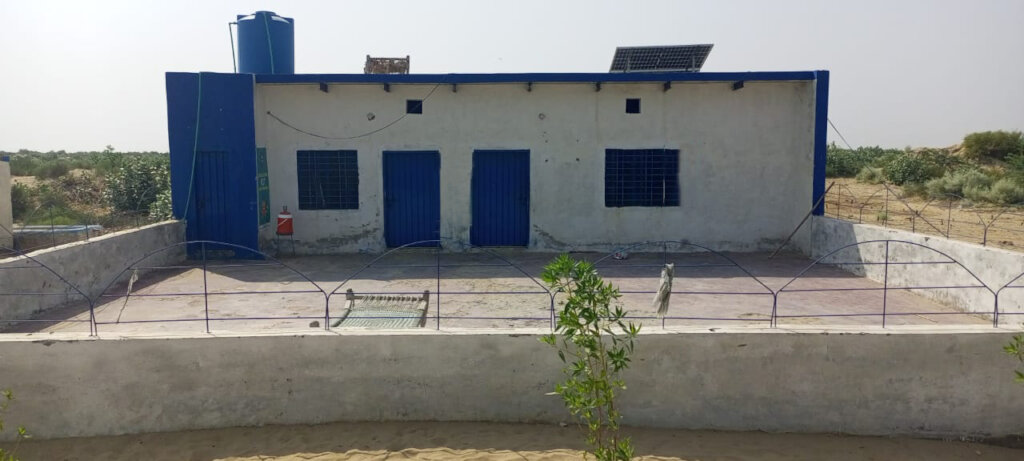 Educate 3600 Street children in Pakistan