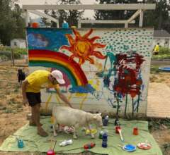 Trying to keep the goats out of the paint