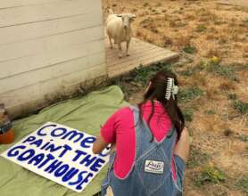 Goat supervising sign-making