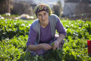 Gender Equality for Climate Justice