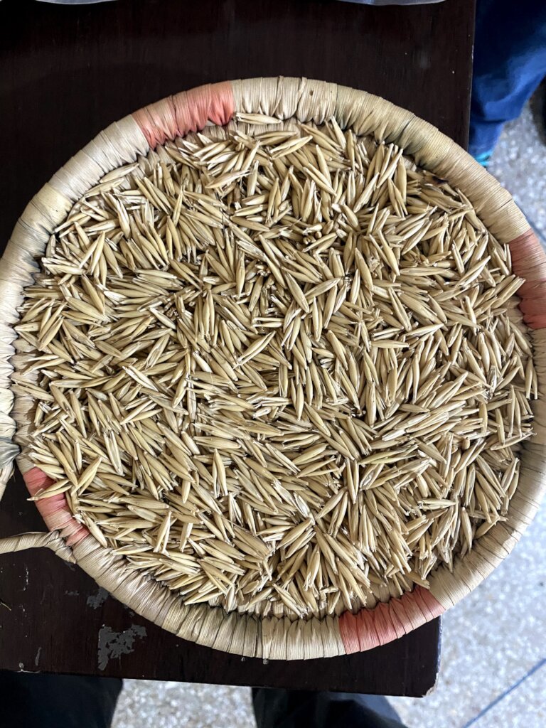 Grain for Good: YAMNA's women-led Coop in Morocco