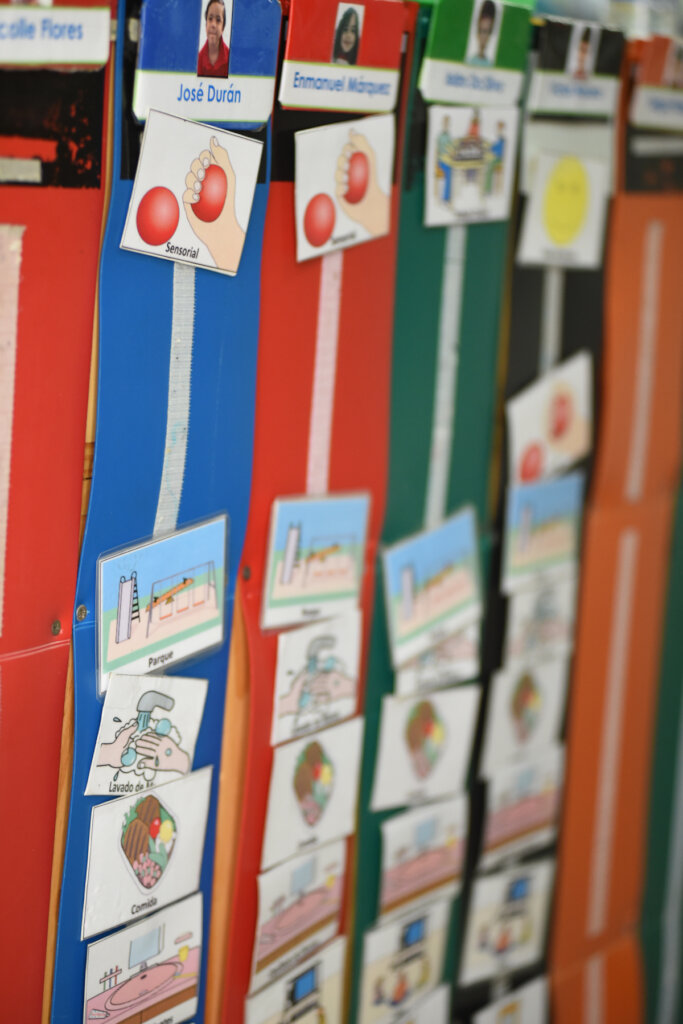 Driving Inclusion - Awareness and skills