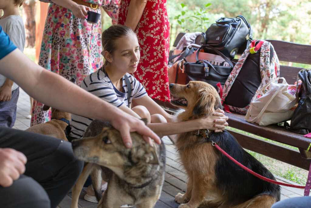Pajacyk's Christmas Table