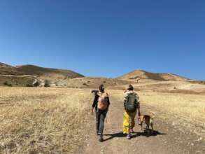 Theory to Action: Shepherding in the Jordan Valley