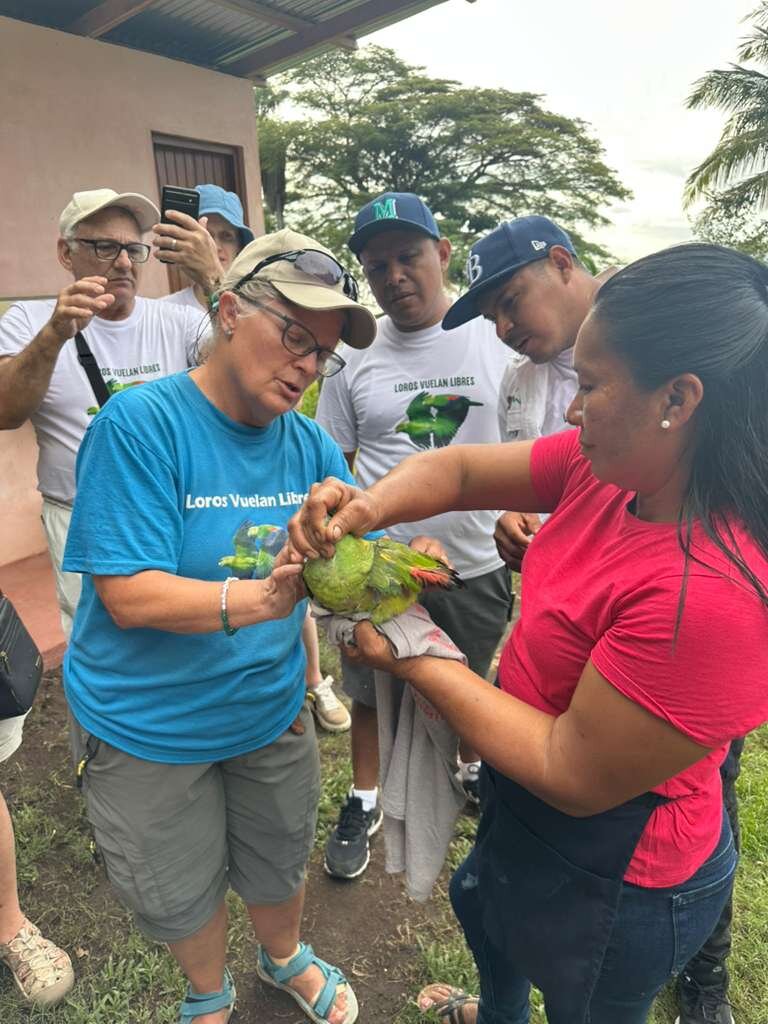 Dr. Joyner examining a parrot in Nicaragua.