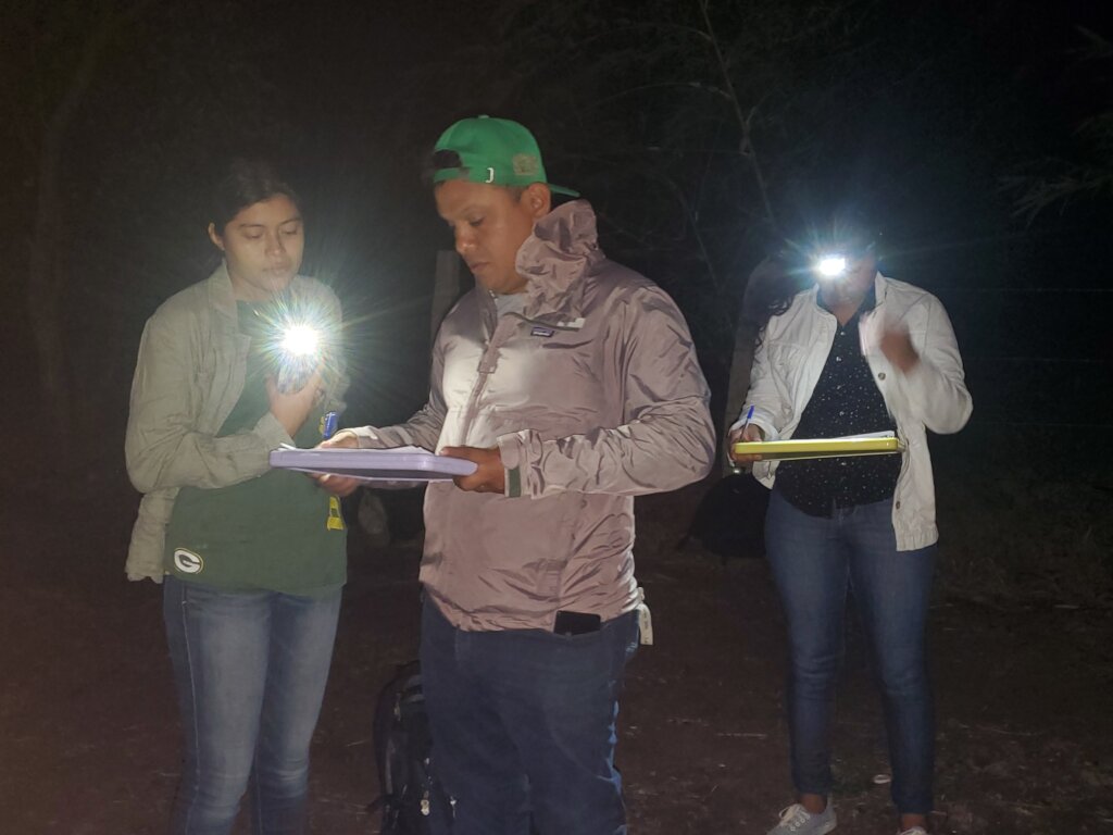 Counting parrots at night in Nicaragua