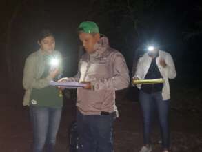 Counting parrots at night in Nicaragua