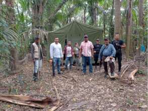 Parrot rangers in Guatemala
