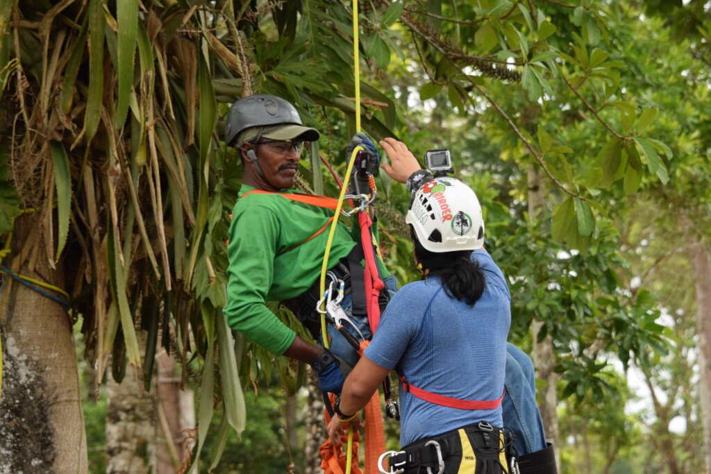 Saving Parrots and Aiding People in the Americas