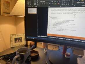 An AFSO online class