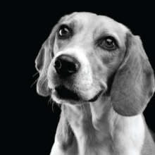 It's not Black and White