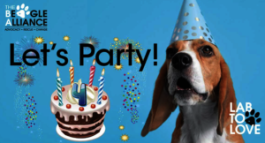 It's our Birthday!