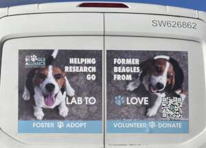 Transport LAB to LOVE