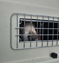 Rescue Transport Day