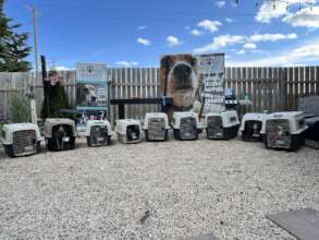 Good Trouble in Canada Release Day