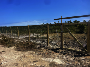 Gilly's New Fence and Gate