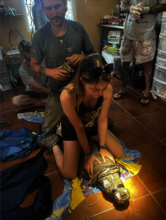 Tata getting a veterinary examination at BWRC